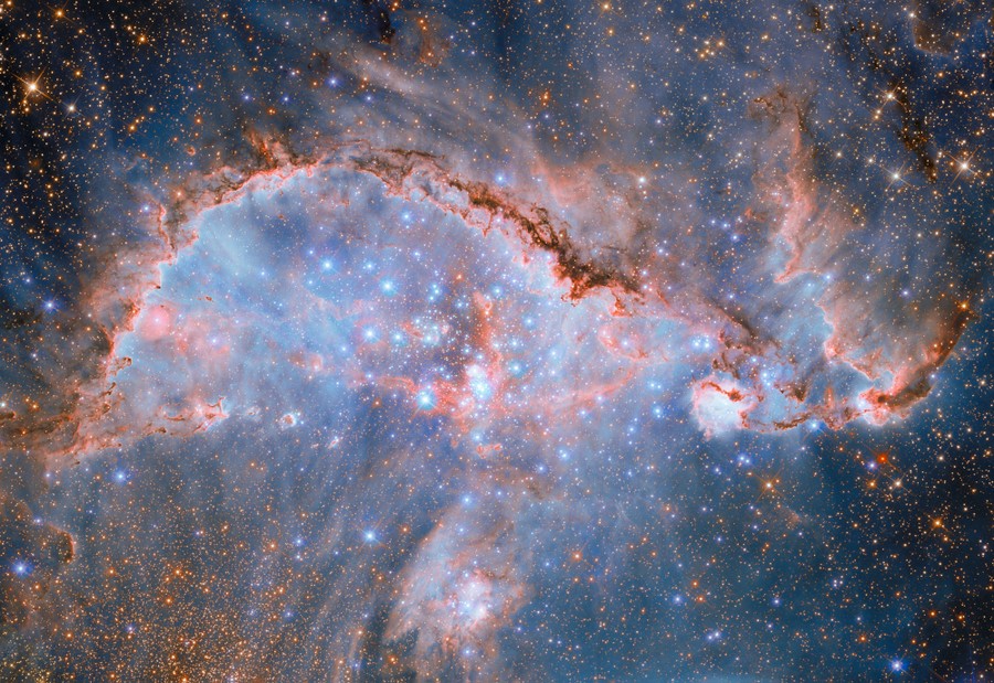 A swirling line of dark clouds sits among brighter clouds of gas and dust, among hundreds of stars.