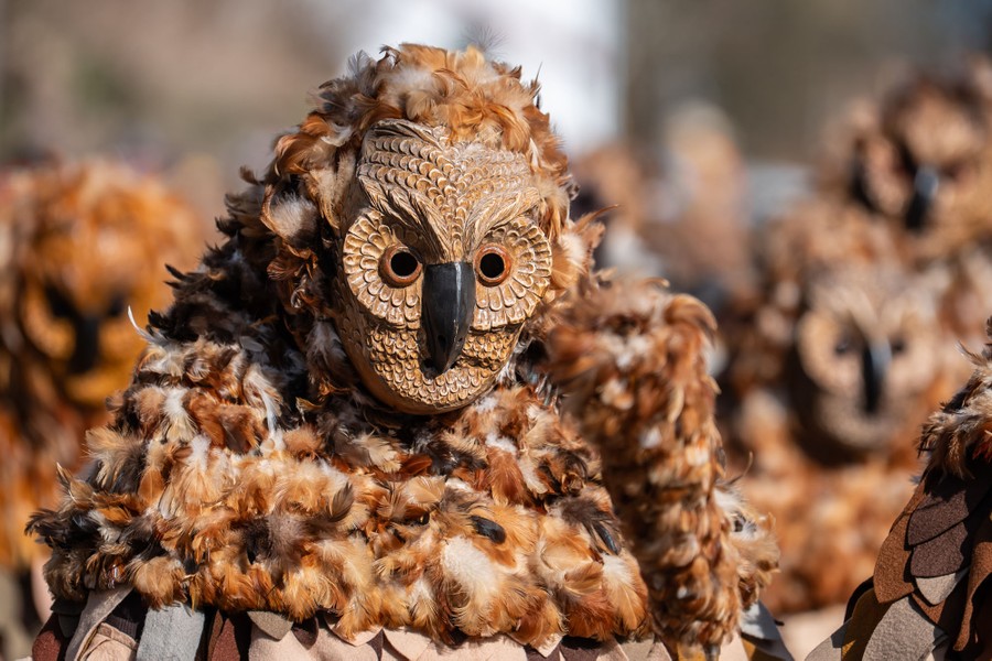 Performers in owl costumes march in a parade.