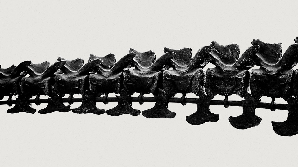 Black-and-white photo of a dinosaur bone