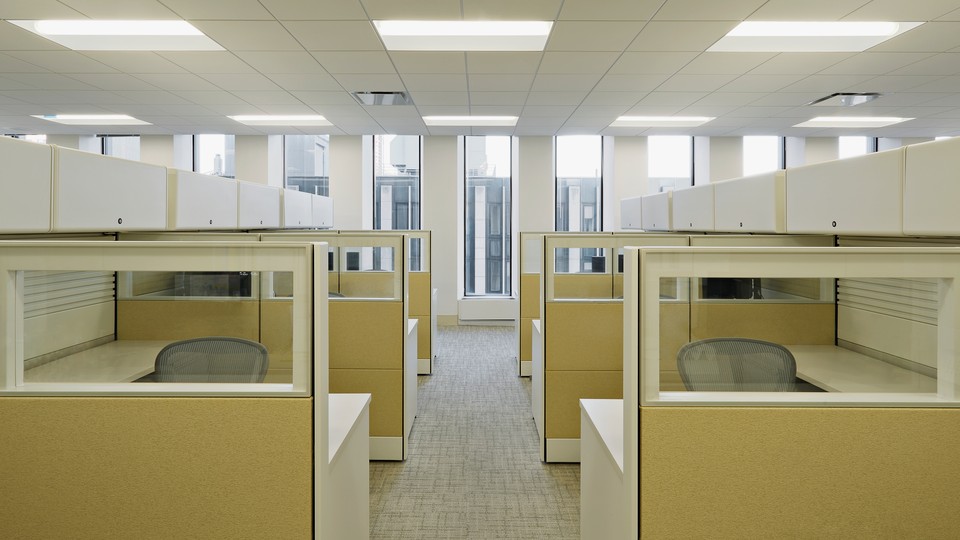 Empty office cubicles