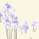 purple flowers against a cream background