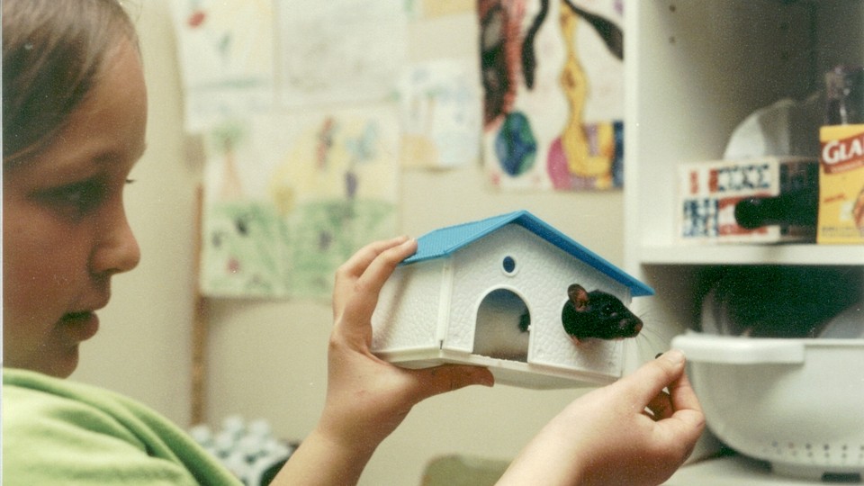 Elaine Godfrey as a child, holding a small plastic house with a rat inside it