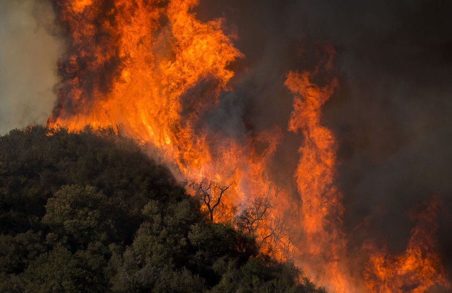 Photos: The Woolsey Fire Leaves Devastation In Malibu, California - The ...