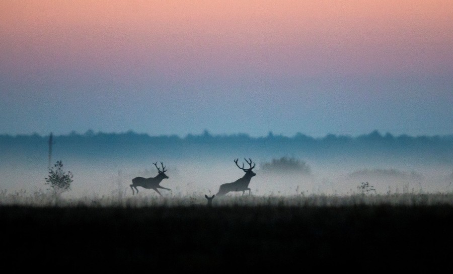 Fall Is in the Air: Images of the Season - The Atlantic