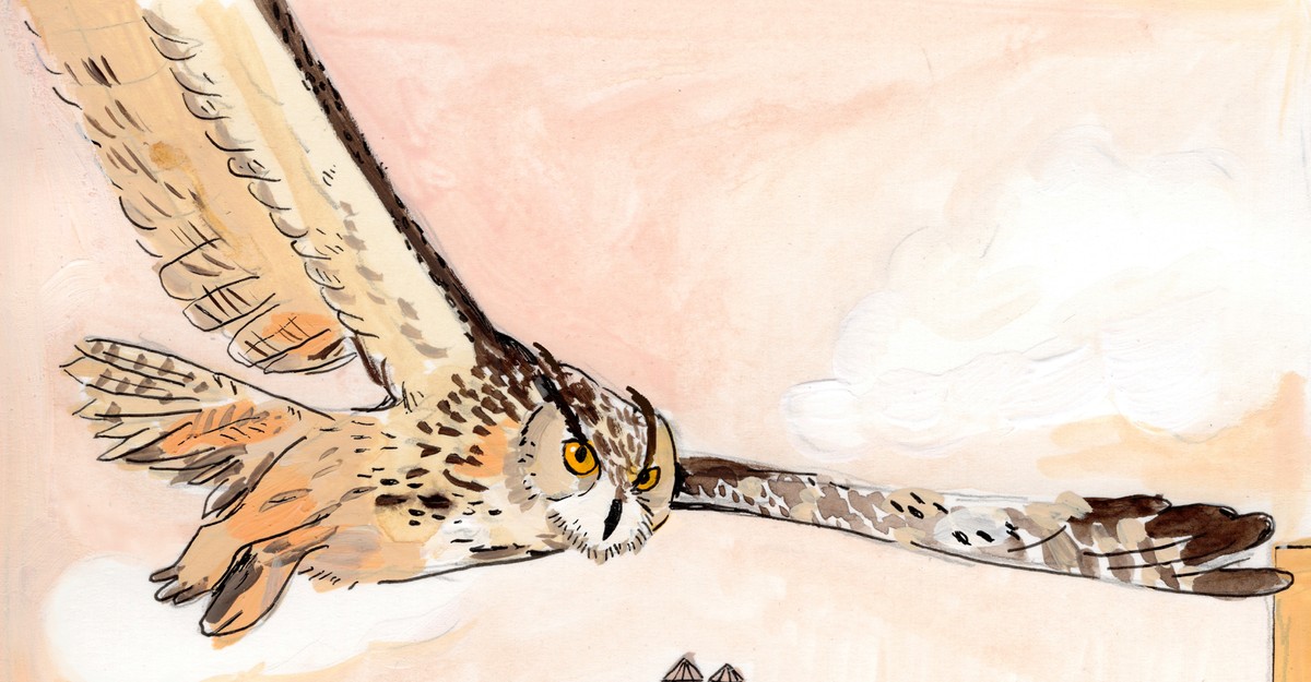 This Owl Will Live Forever
