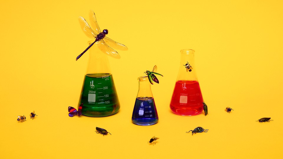 Laboratory flasks surrounded by insects