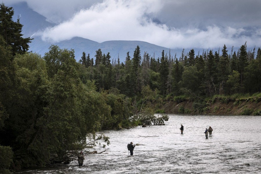 Brown Bears Fishing at Alaska's Brooks Falls - The Atlantic