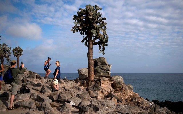 Photograph of tourists taking pictures on the Galápagos Islands
