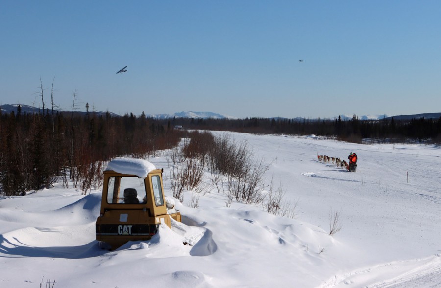 A seld dog team runs down a snow-covered runway.