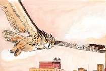 In a painting, an owl flies over New York City