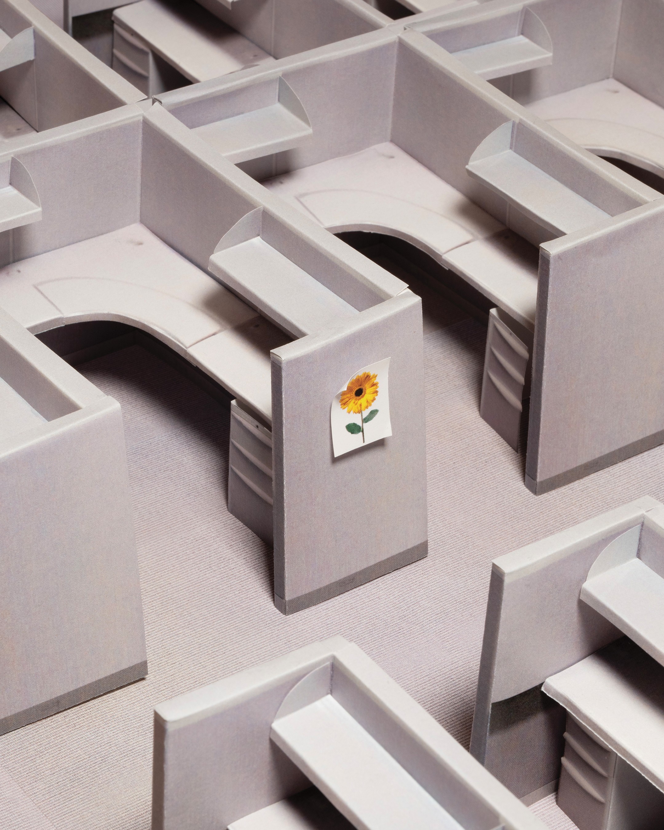 BoB_Saunders_Opener 1_edit.jpg