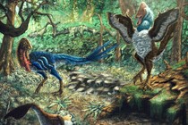 A pair of feathered dinosaurs in a forest