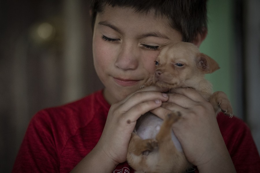 A young boy holds a small puppy up to his face.
