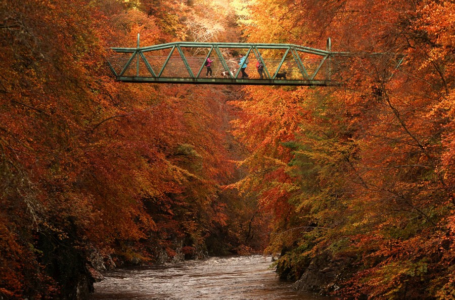 People cross a footbridge high over a river among fall foliage.