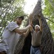 Patrick Dougherty and his son work on a sculpture