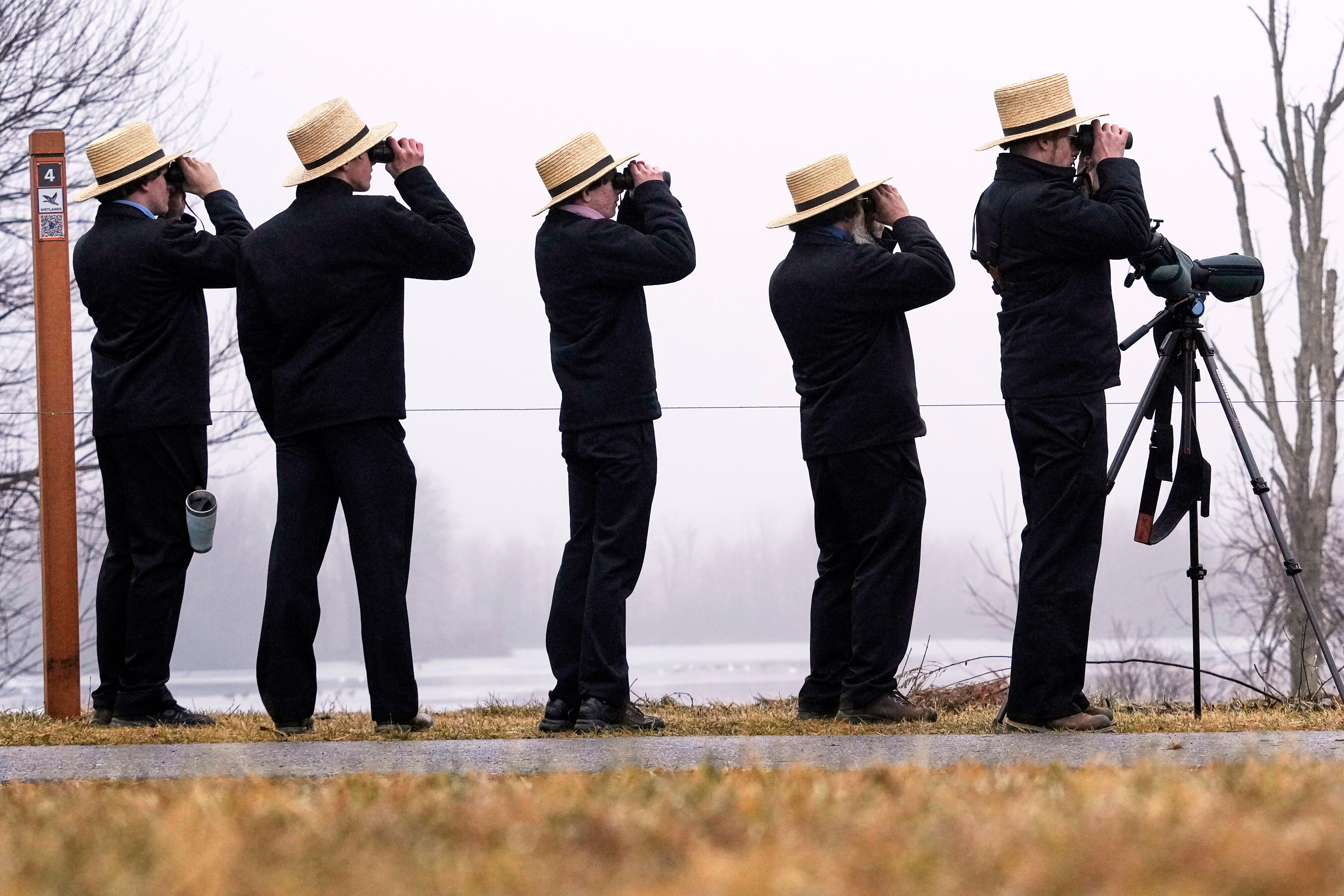 Five Amish men wearing identical straw hats and black clothing all hold up binoculars while looking at nearby waterfowl.