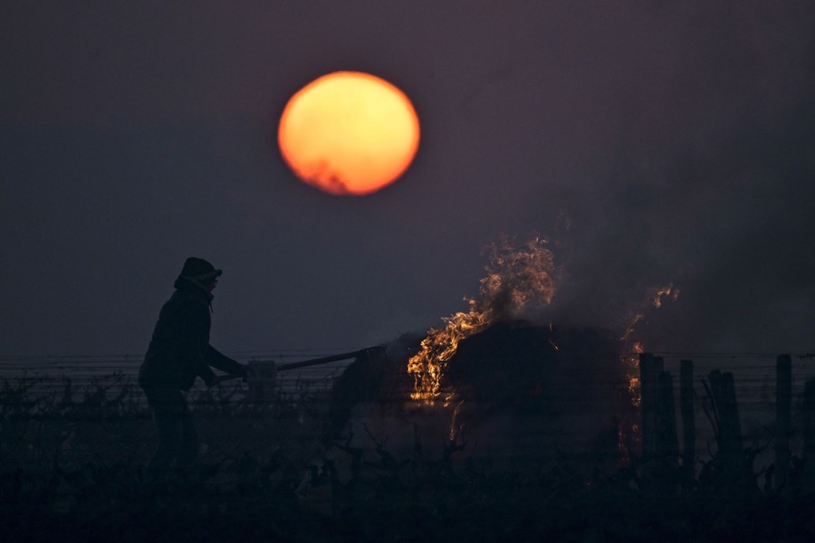 A person lights a bale of straw on fire in a field.