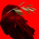 Photo illustration of a crow holding an olive branch over a deep red background