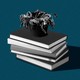 A shriveled plant on top of a stack of books