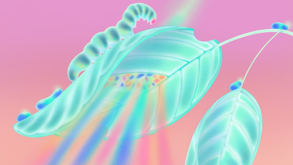 Illustration showing a leaf iluminated by a godly light