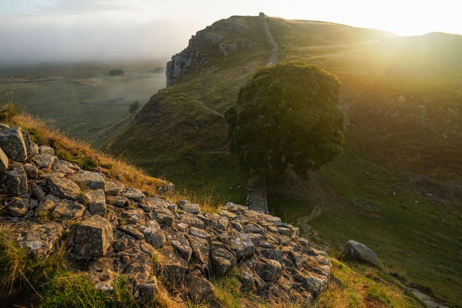 A single tree stands in a valley between two steep hills. A low and broad ancient stone wall runs along the hills.