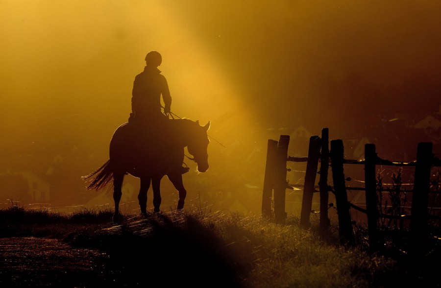 A woman rides her horse on a small road, bathed in warm sunlight.