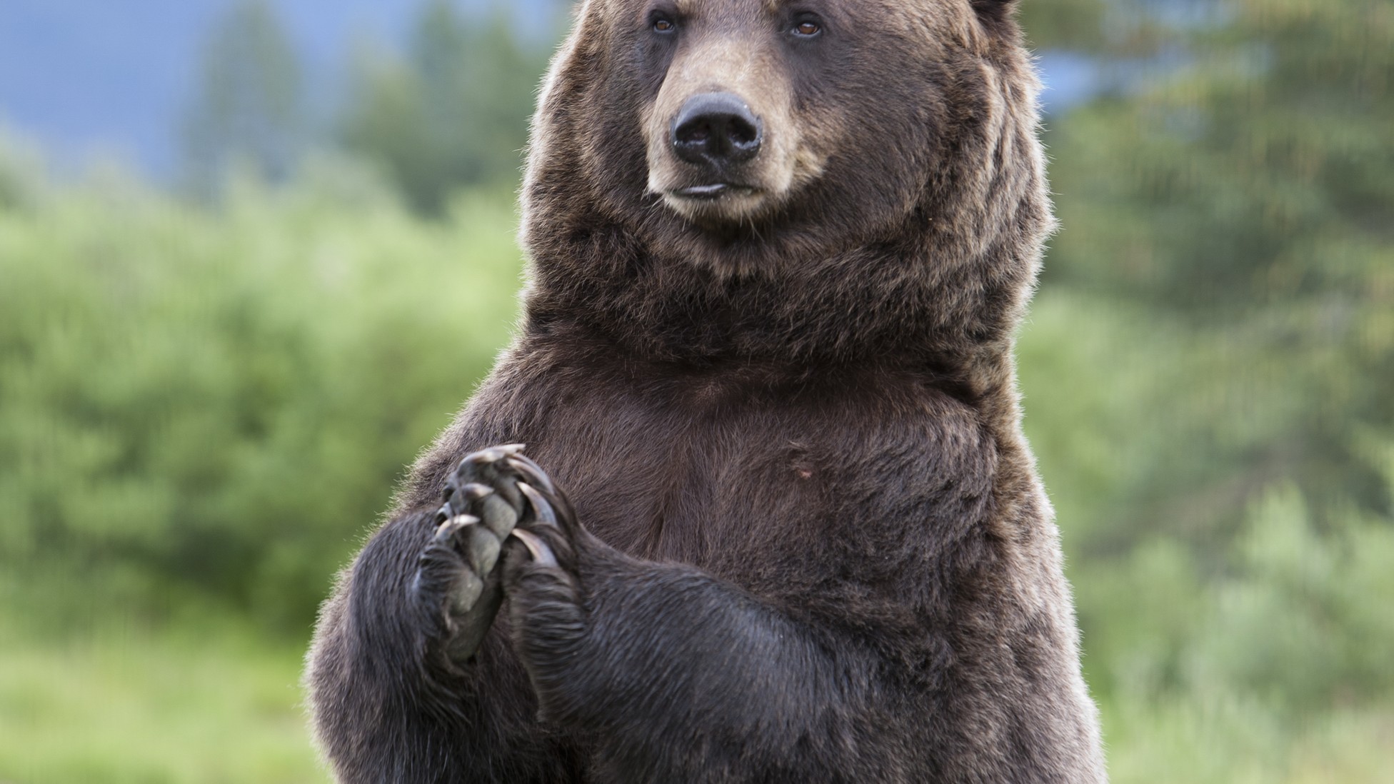 Should You Stop Watching a Show If It’s Going to be Cancelled? - The