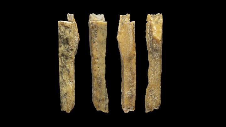 Four bones