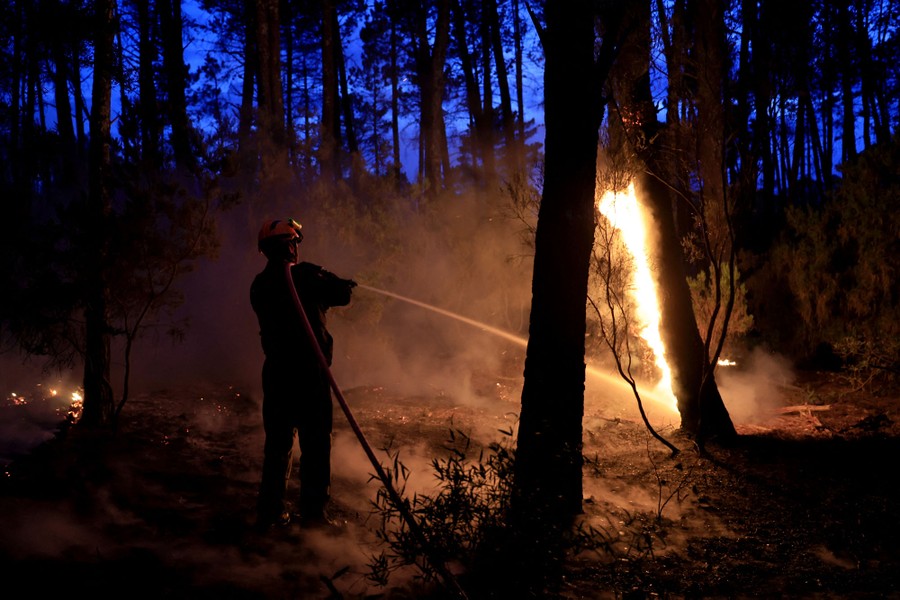A firefighter uses a hose to douse a burning tree during a forest fire.