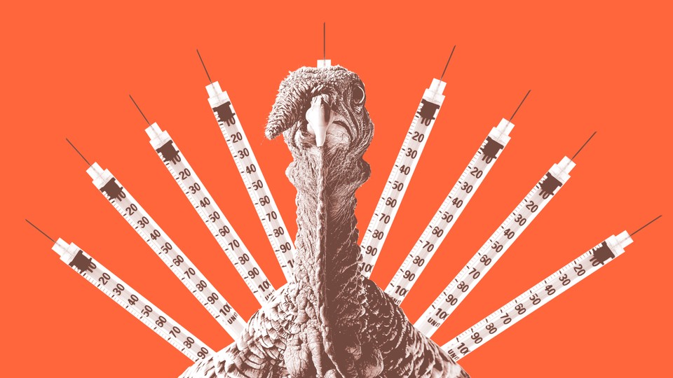 a turkey with vaccine syringes as tail feathers