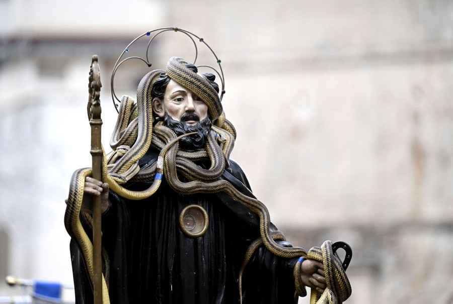 Live snakes cover the statue of a saint, during a procession.