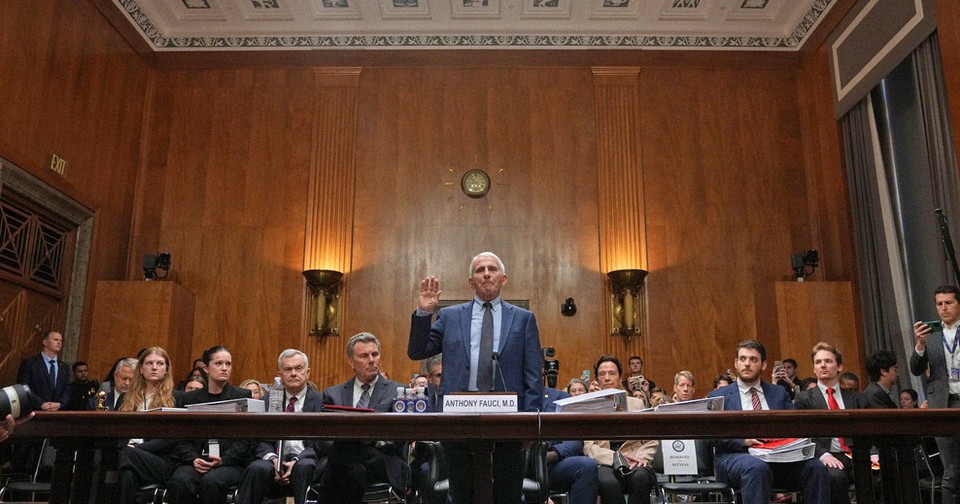 Anthony Fauci Is Not the Villain in This Story