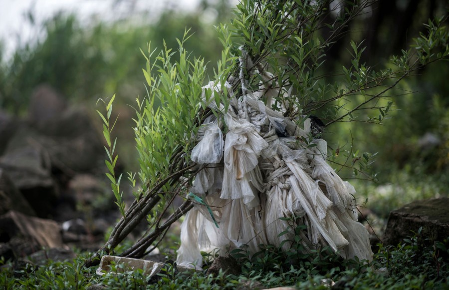 Plastic Clothes, Plastic Oceans. With the theme of Earth Day 2018 being…, by MK, Lola and August