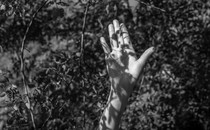 A hand raised in prayer, in black and white with shadows of leaves on the hand