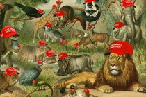 zoo animals wearing maga hats