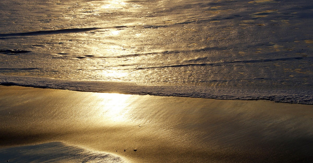 Beach Sex Drunk - What's the Right Penalty for Having Sex on the Beach in Florida? - The  Atlantic