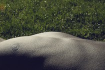 The torso of a shirtless person lying in the grass