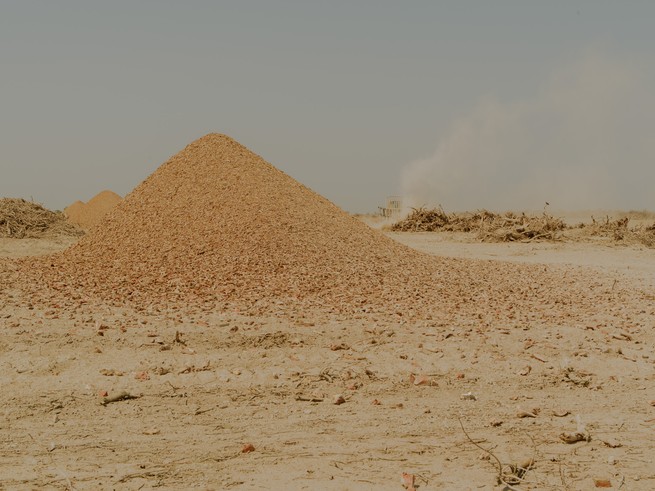 Wood chips from a former almond orchard are piled up next to dead trees.