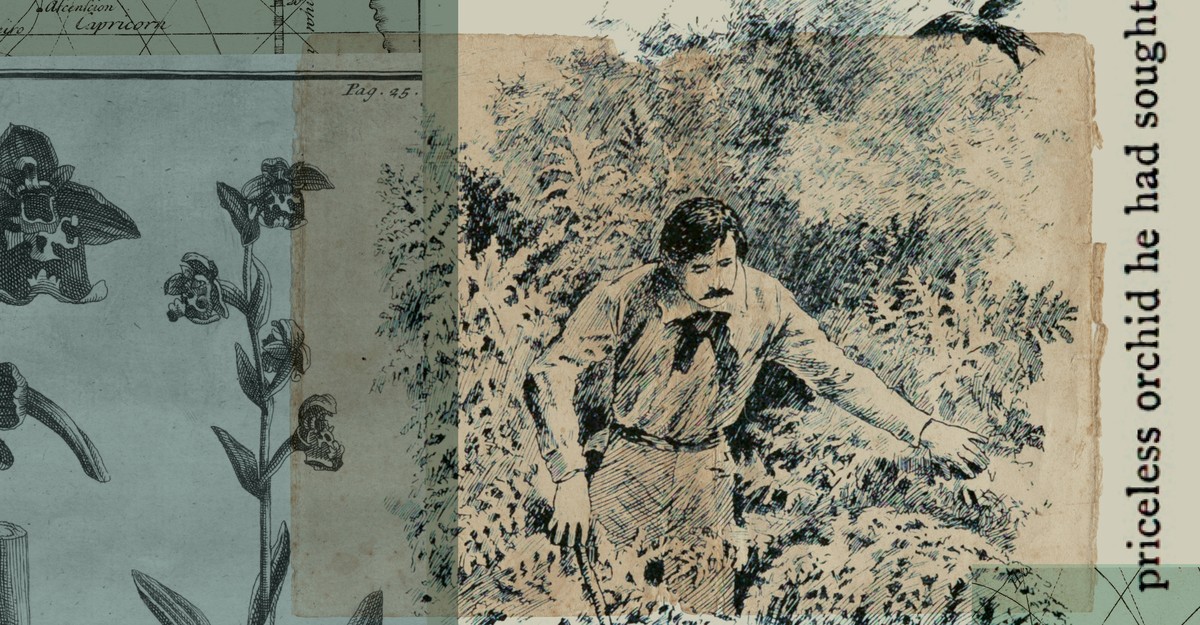 Victorian Orchid Hunters Were Not Thrill-Seekers