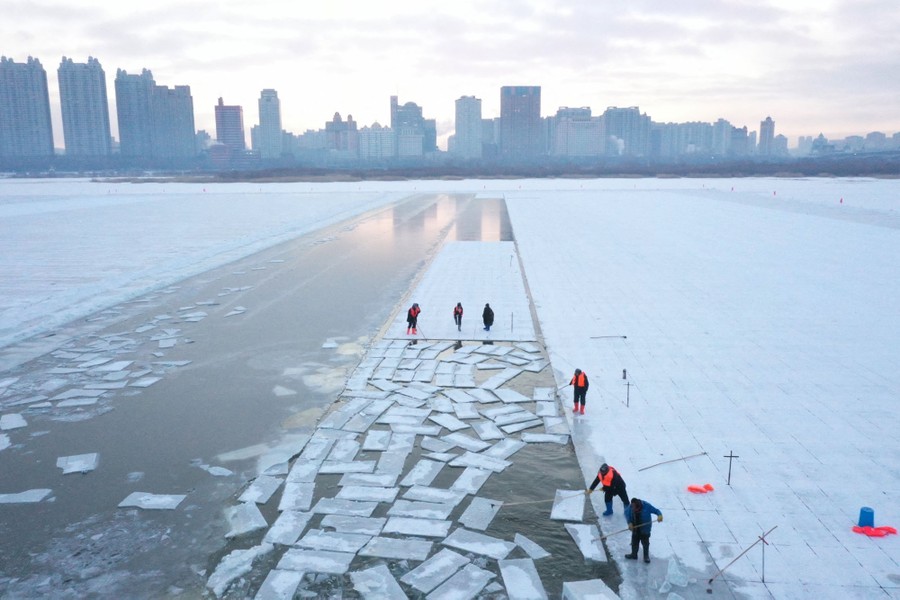 An aerial view of workers harvesting ice blocks from a frozen river, with tall city buildings in the background
