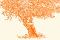 A man hugging a tree