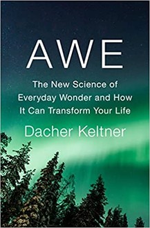 the cover of Dacher Keltner's book Awe, showing green lights in the sky above pine trees