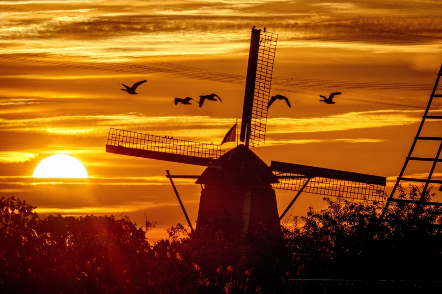 Five geese fly past an old windmill at sunset.
