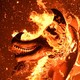 A wooden sculpture of a dragon's head, covered in flames