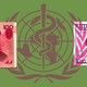 A picture of money from the United States and China on top of the WHO emblem.