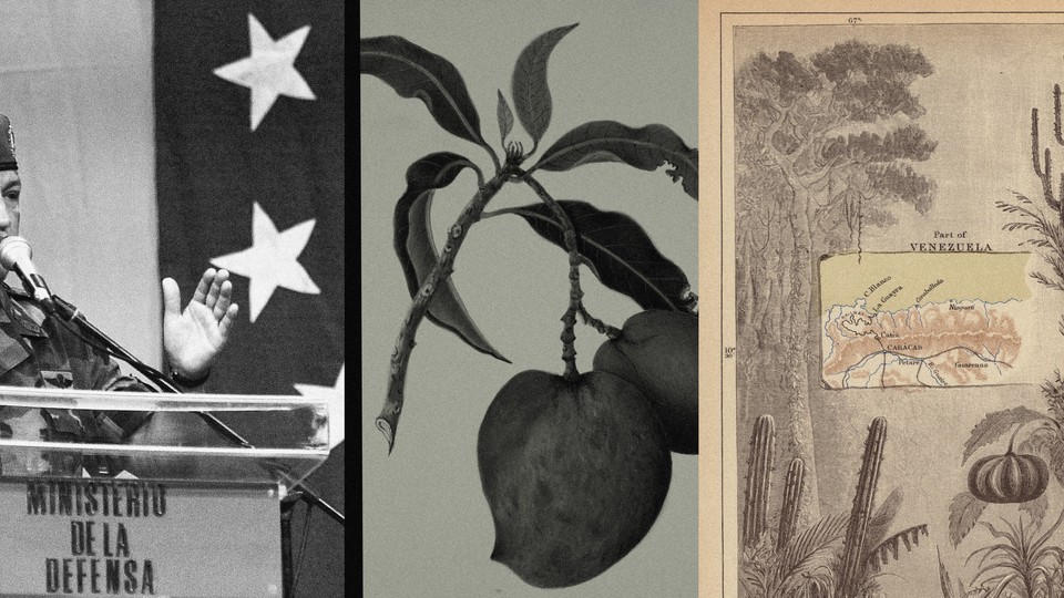 a collage of map of Venezuela, a mango plant and a photograph of Hugo Chavez