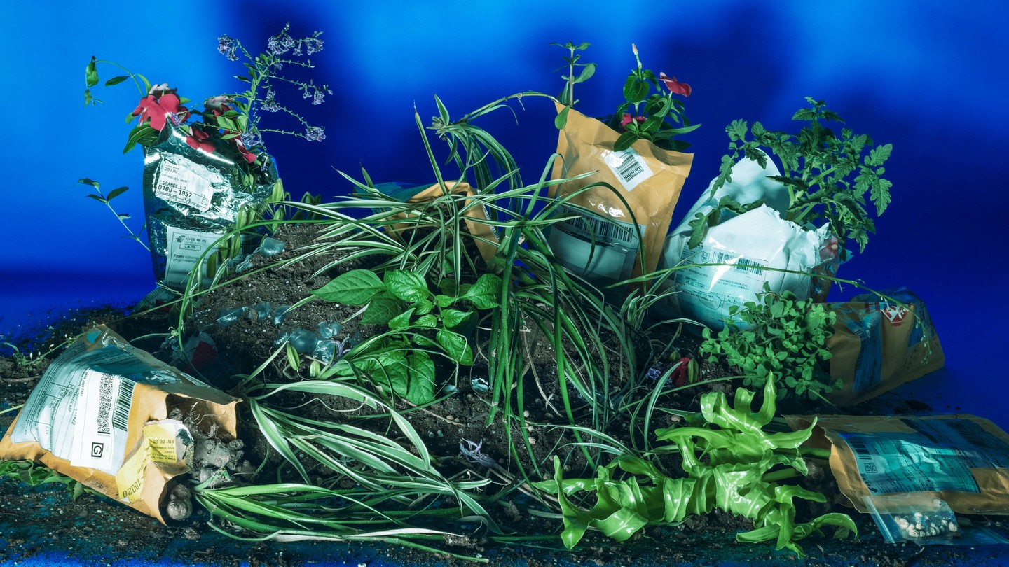 A still life of bags, dirt, and plants