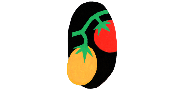 tomato potato