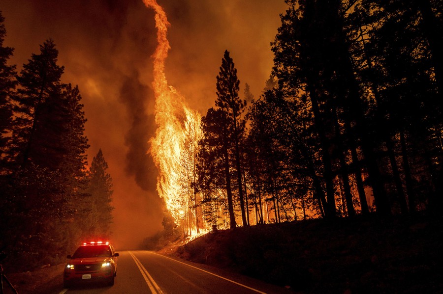 A large forest fire burns in California.