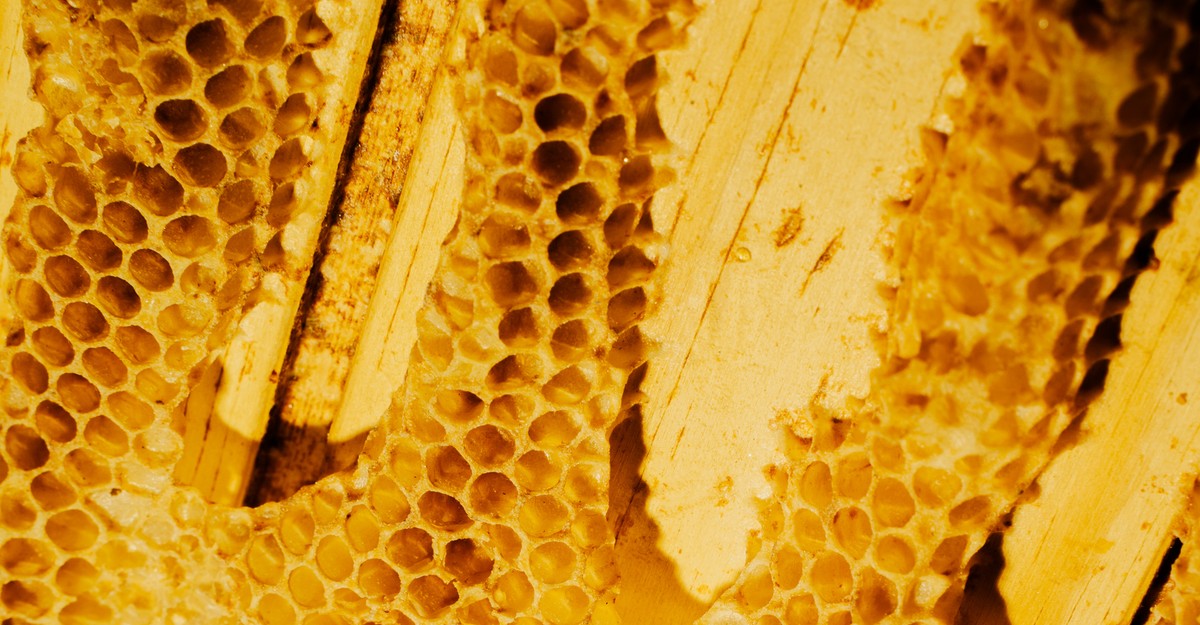 cdn.theatlantic.com image